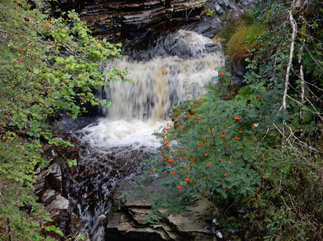 Corrieshalloch Gorge National Nature Reserve景点图片