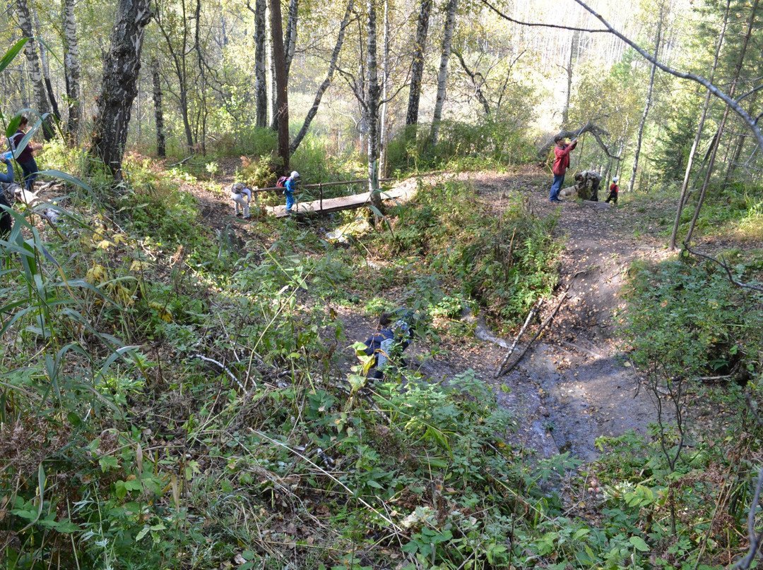 Dyzvezdny Spring-Baturino必去景点