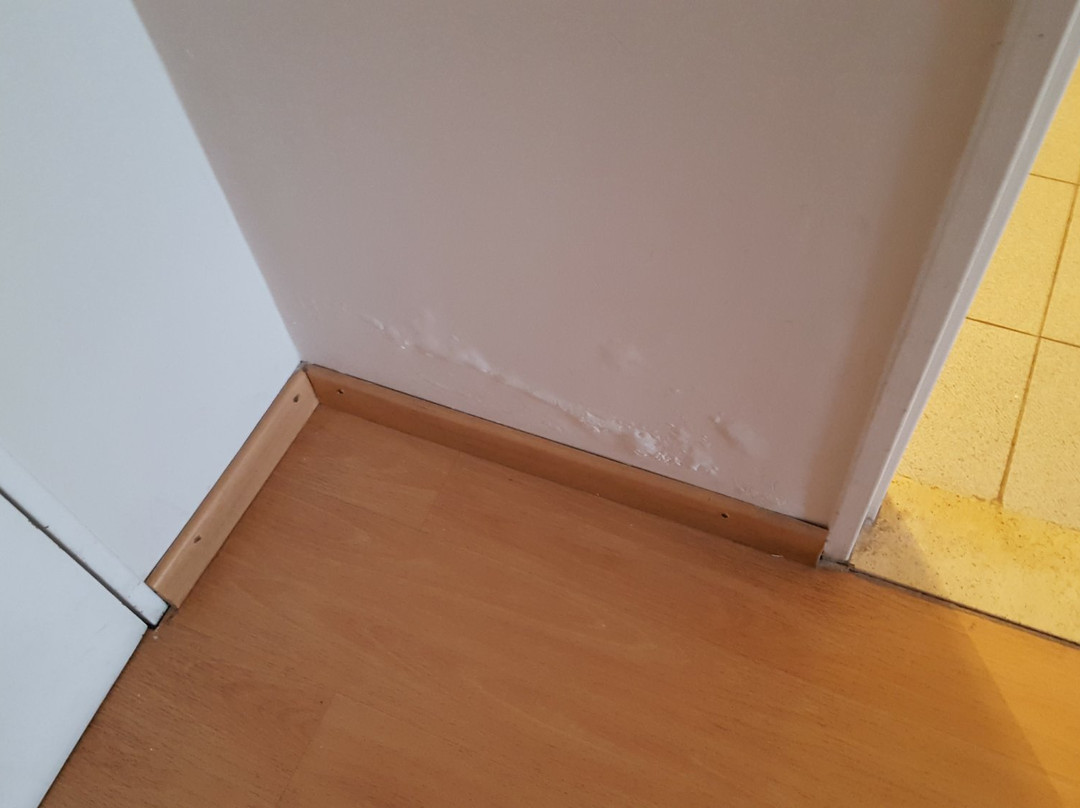 Hotel Embajador主图