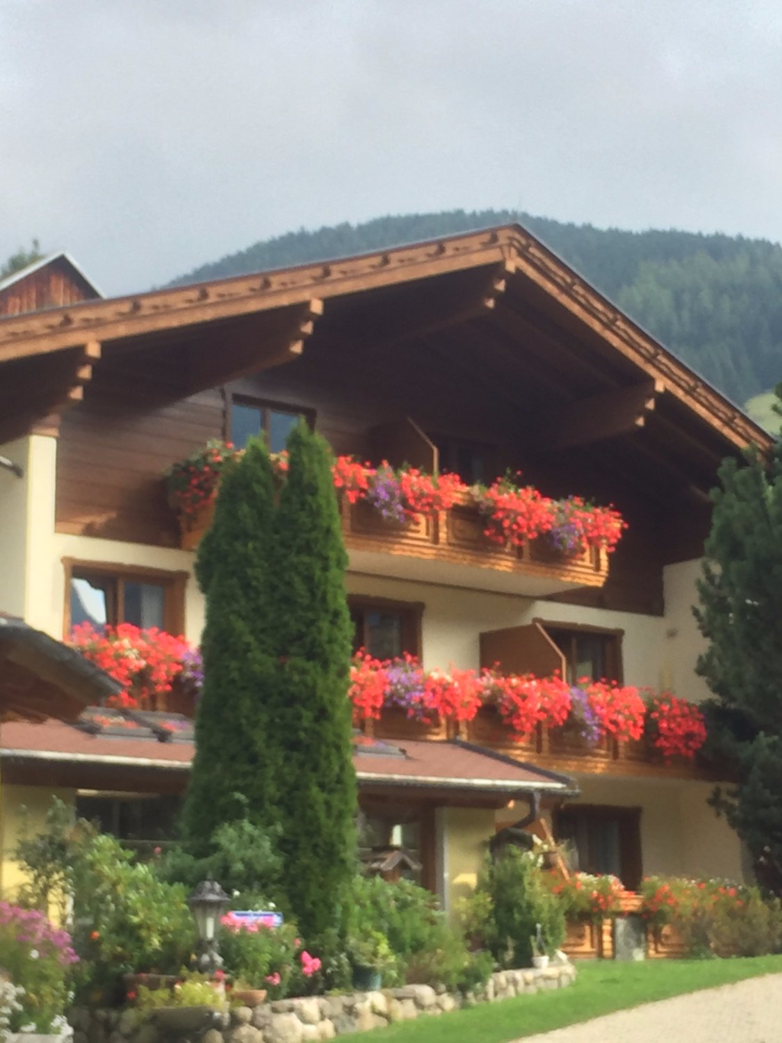 Pension & Appartement Steinwender-浴室