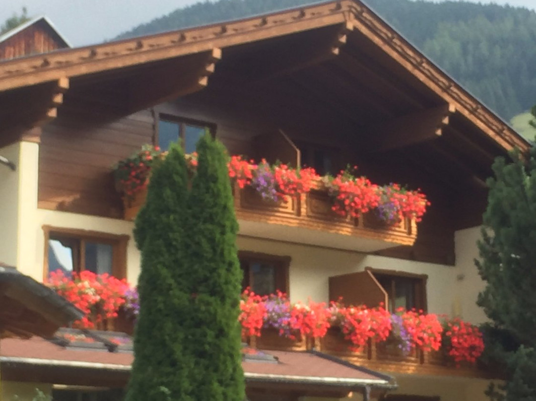 Pension & Appartement Steinwender主图