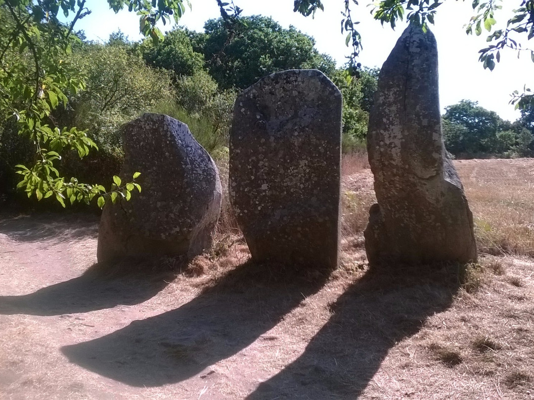 Dolmens de Mané-Bras景点图片