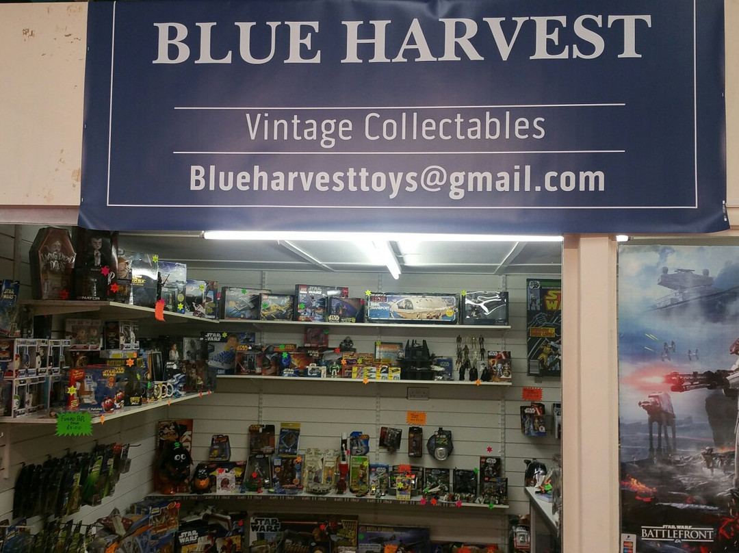 Blue Harvest-Morley必去景点