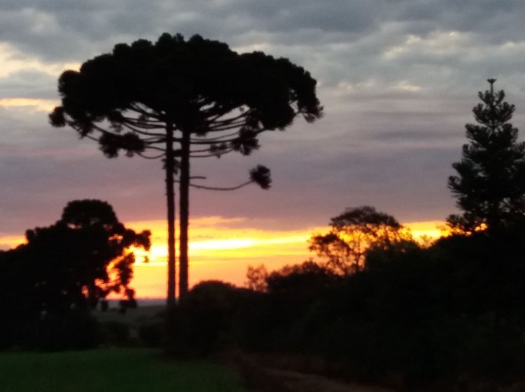 Sítio da Tia Júlia-Tibagi必去景点