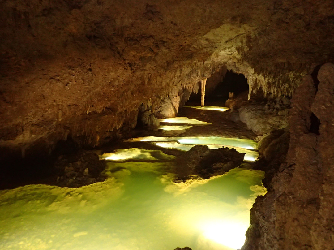 Okinoerabujima Caving Gaid Union景点图片