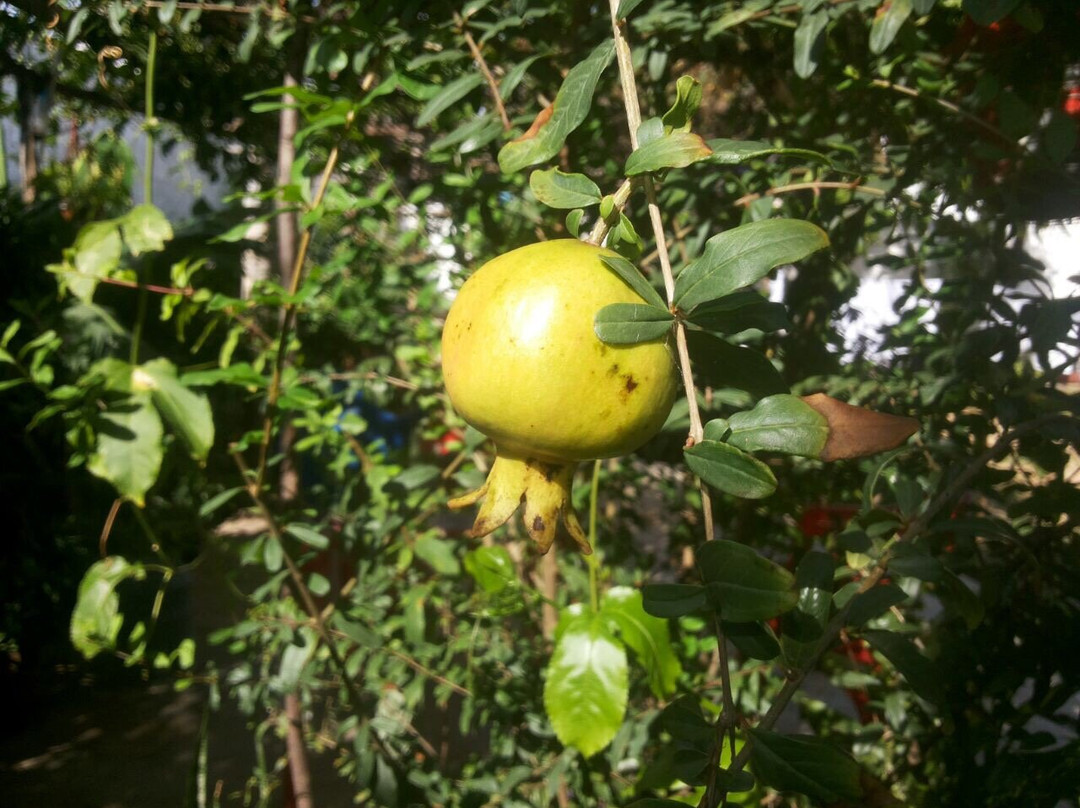 Brisa da Serra Pousada Hotel主图