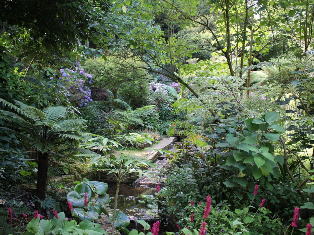 Jardin du Kestellic景点图片