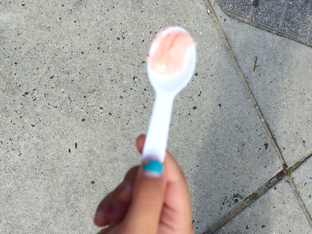 Sea Shell Shop-里霍博斯比奇必去景点