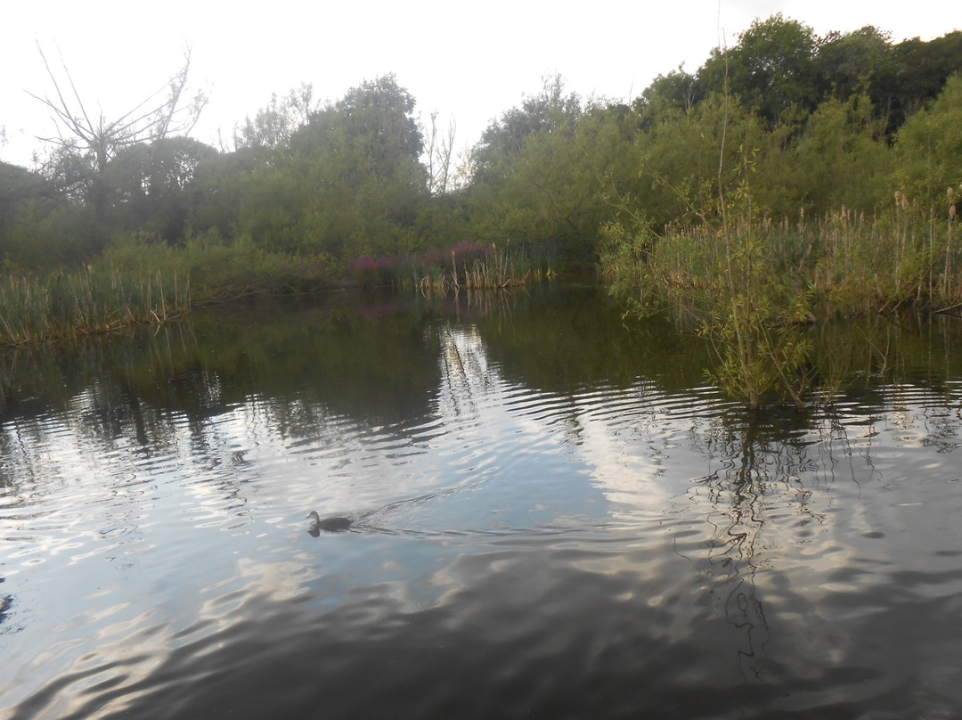 Lee Valley Canoe & Cycle-伦敦必去景点