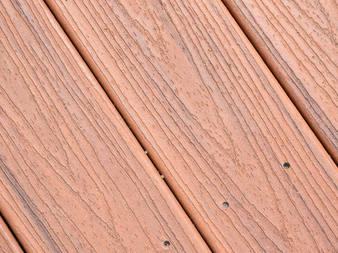 VMC Sibar Disney Land