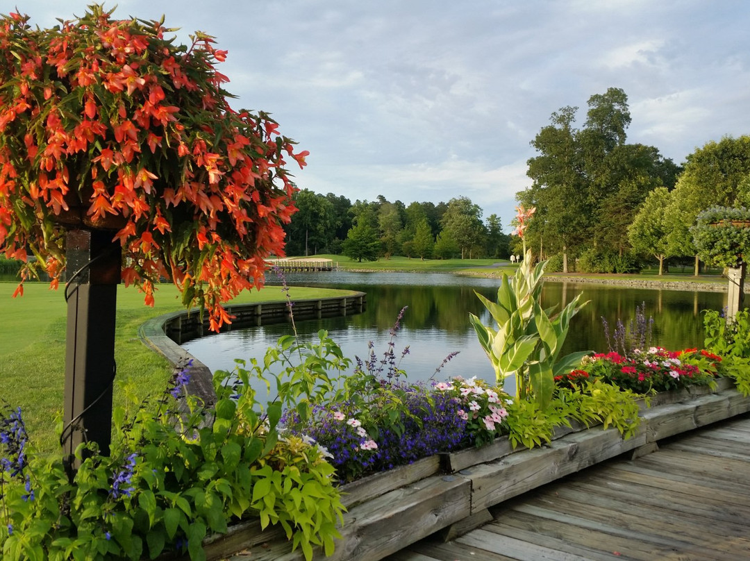 Baywood Greens Golf Course-Long Neck必去景点