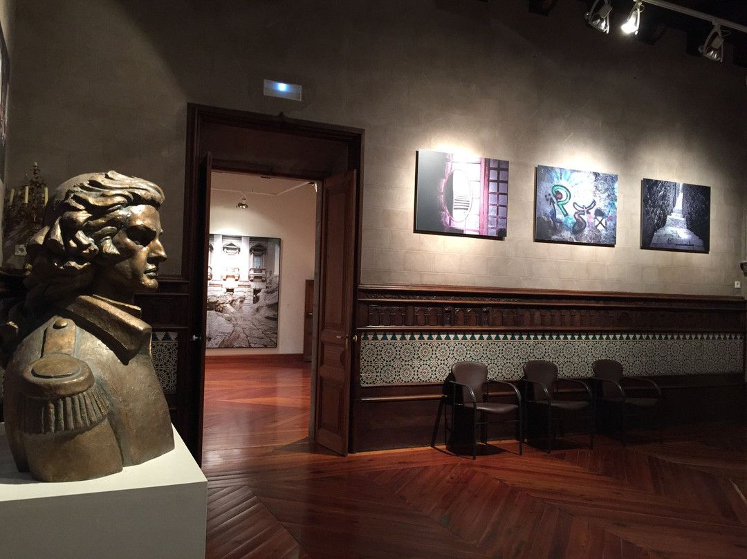 Museu Palau Solterra景点图片