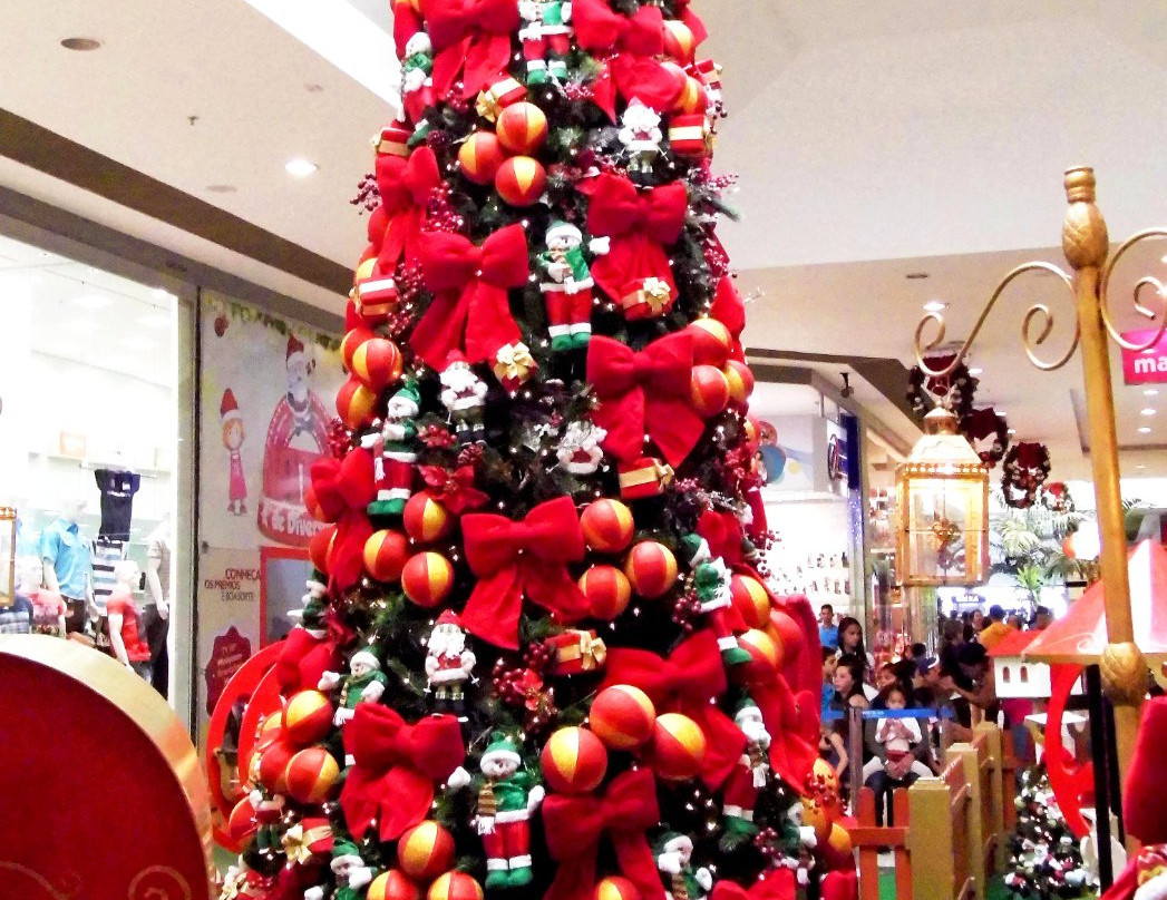 Portal Sul Shopping-戈亚尼亚必去景点