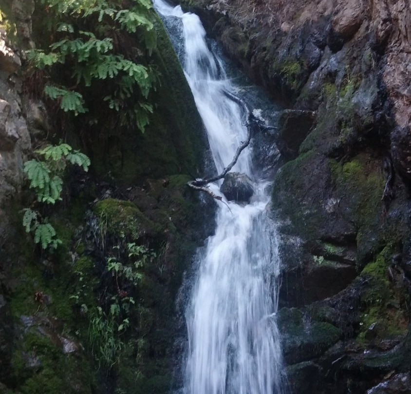 Ewoldsen Trail-大苏尔必去景点