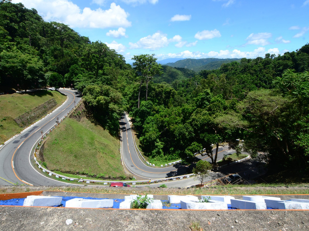 Quezon National Forest Park景点图片