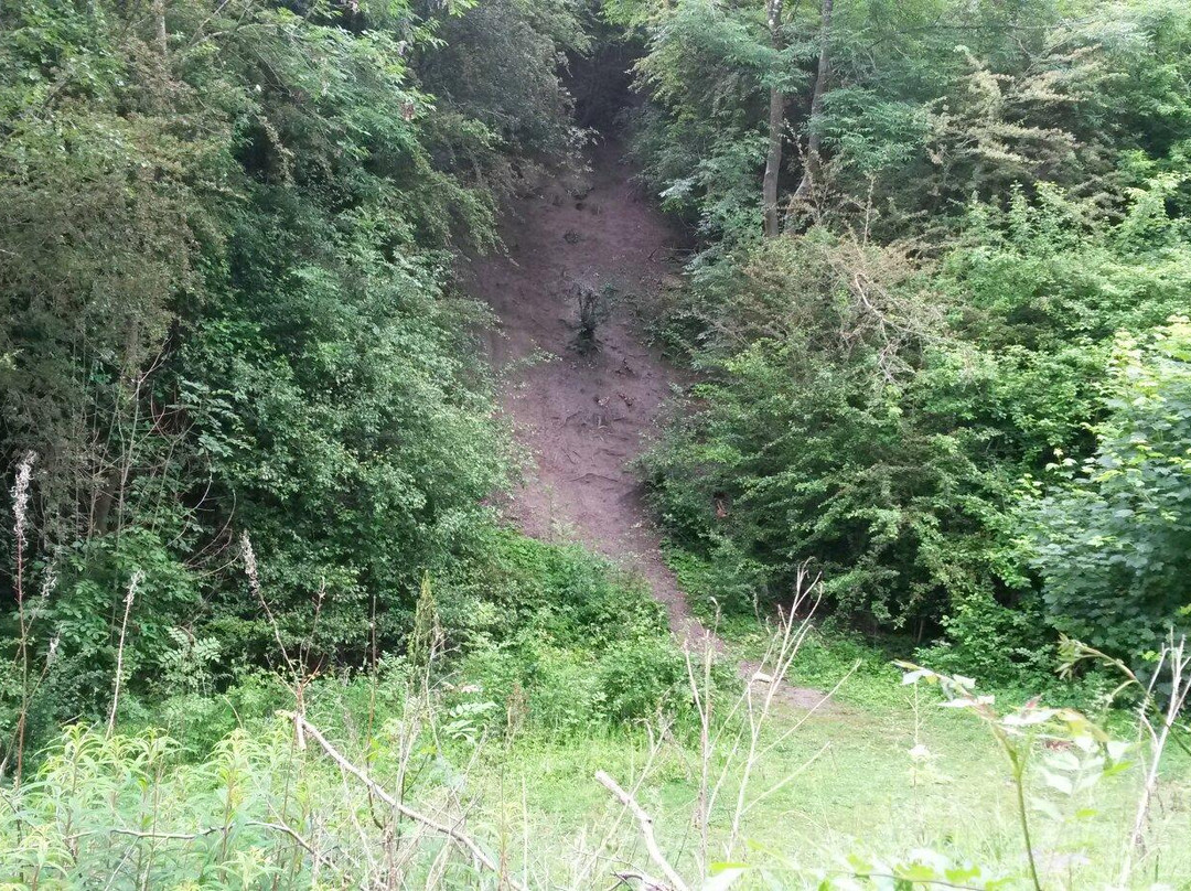 Finedon Pocket Park景点图片