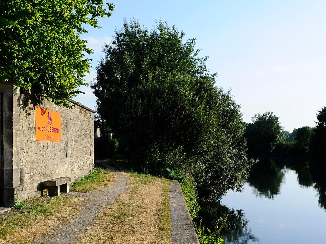 Salignac-sur-Charente旅游攻略图片
