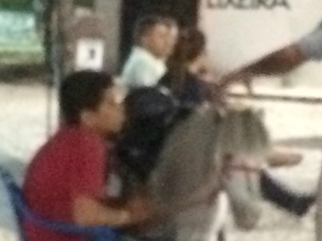 Lago Jacarey-福塔莱萨必去景点