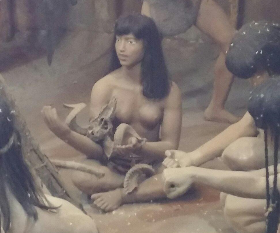 新乐遗址博物馆-沈阳市必去景点