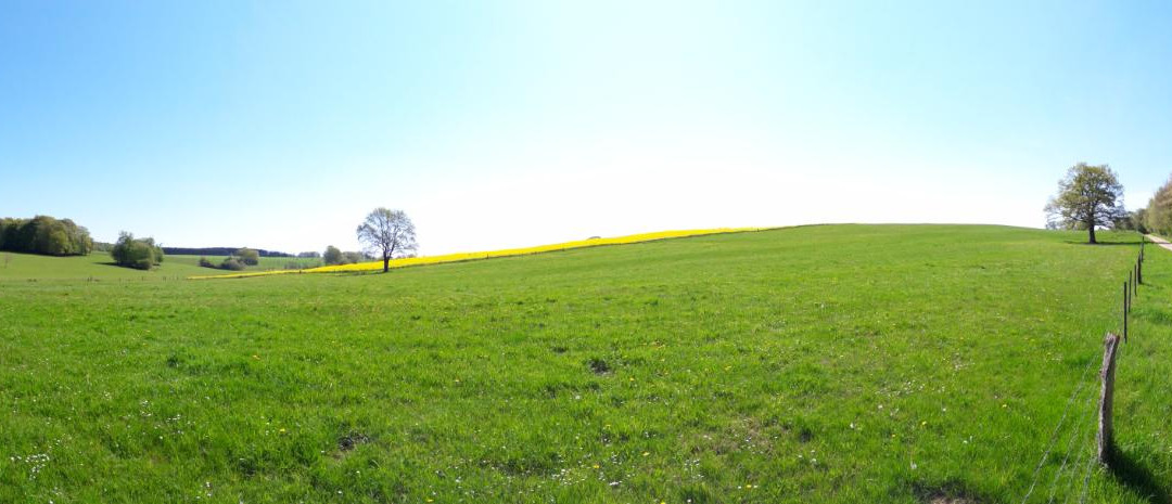 Matton-et-Clemency旅游攻略图片