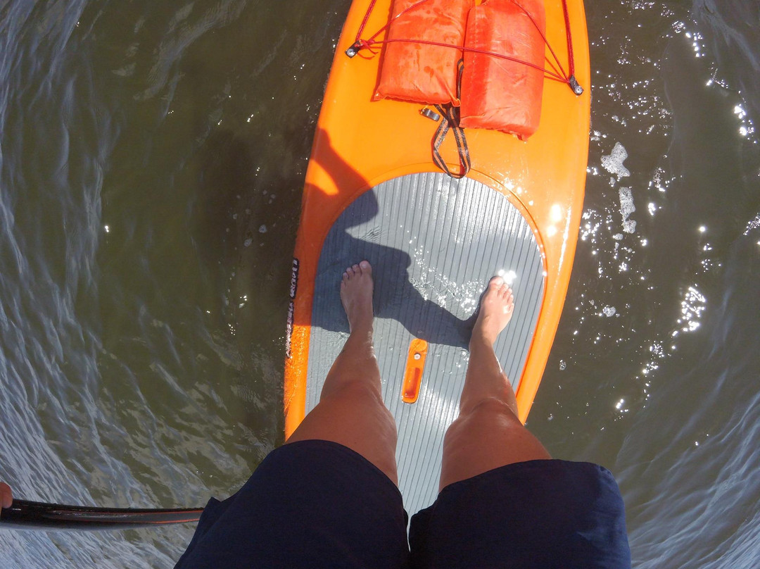 Treasure Coast Paddle & Watersports-Jensen Beach必去景点