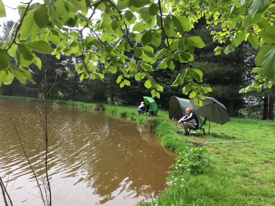 West Pitt Farm Fishery-蒂弗顿必去景点