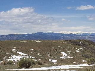 Bluffs Regional park-Lone Tree必去景点