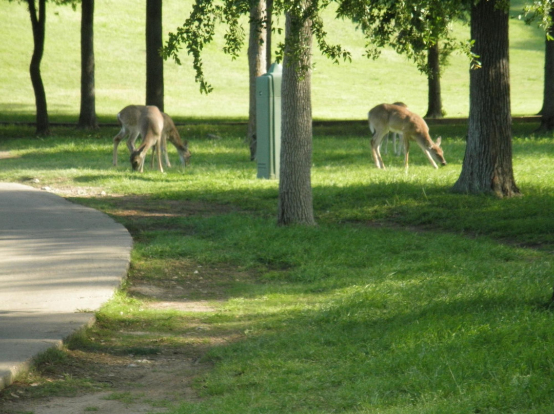 Mill Creek Golf and Country Club-Salado必去景点