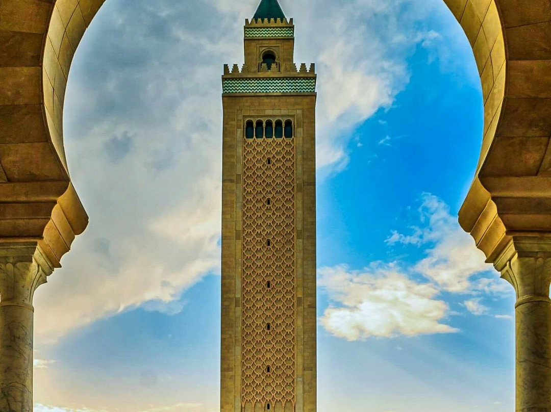 El Abidine Mosque-迦太基必去景点