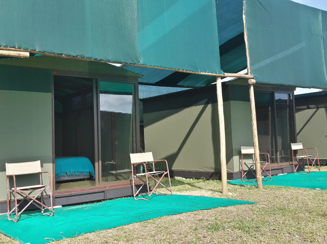 Ponta Beach Camp