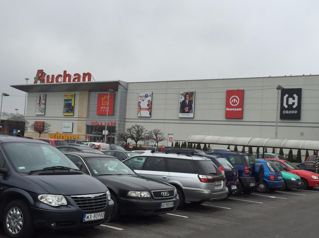 Blizne Laszczynskiego旅游景点-Wola Park