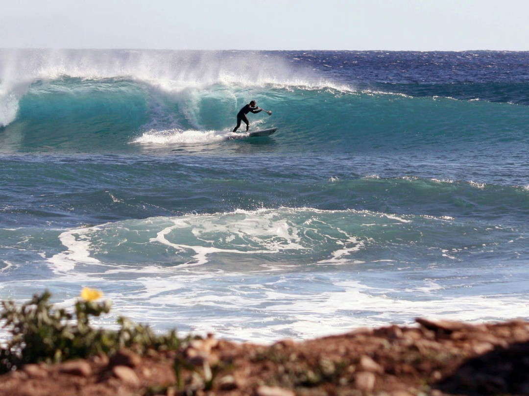 Chania Surf Club-阿吉亚玛丽娜必去景点