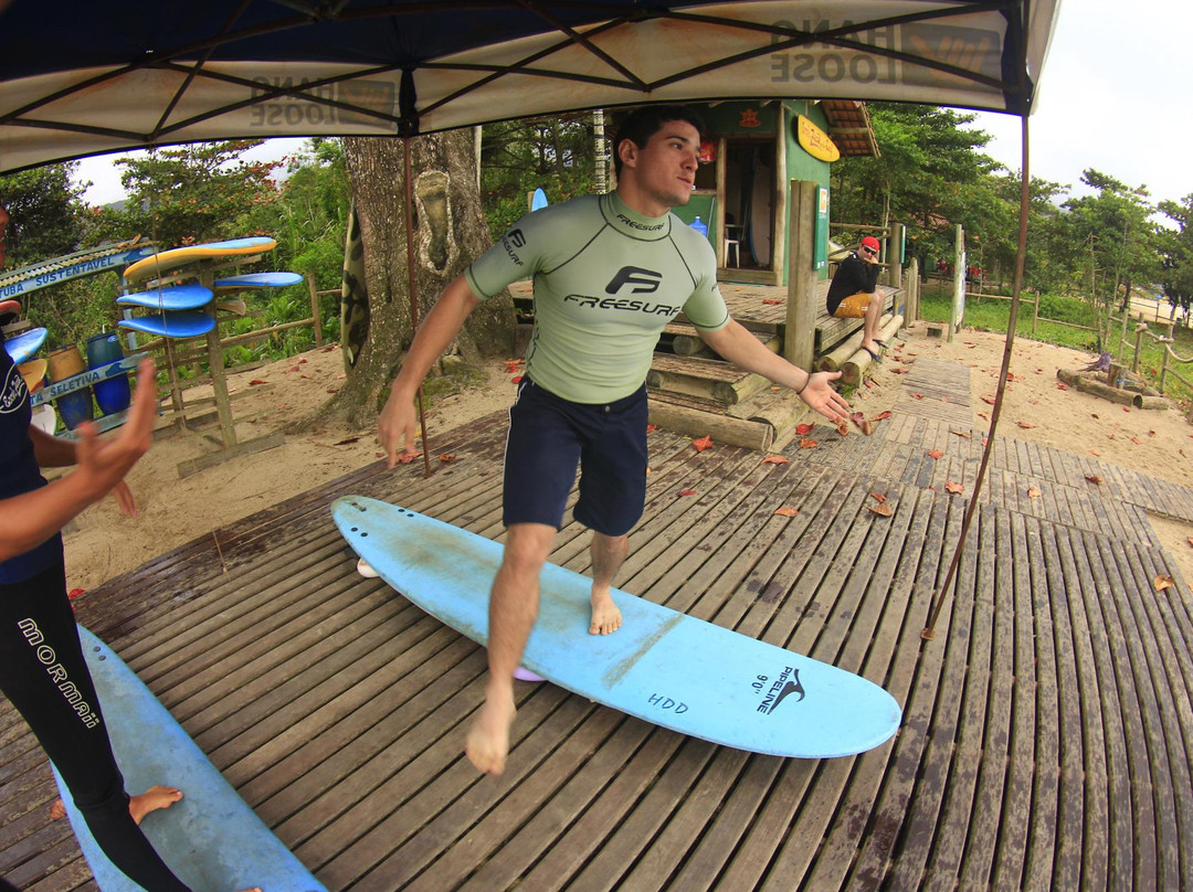 Zecão Surf School-乌巴图巴必去景点