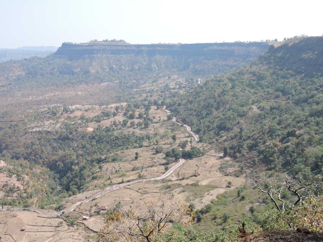 Patalkot Valley景点图片