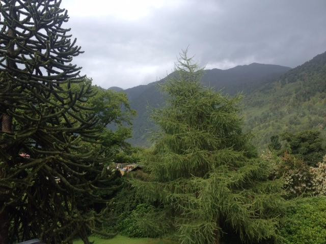 Hosteria Alemana主图