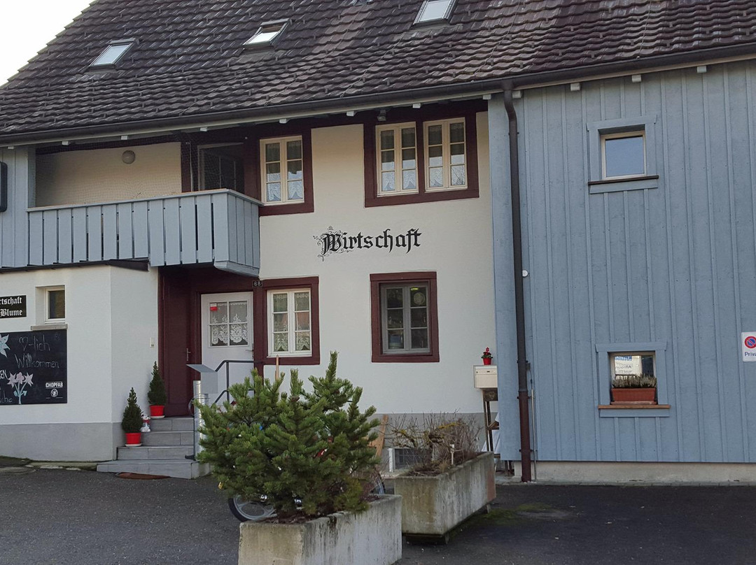 Baeretswil餐馆和美食-Blume