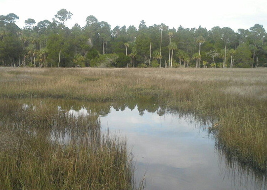 Withlacoochee Gulf Preserve-Yankeetown必去景点