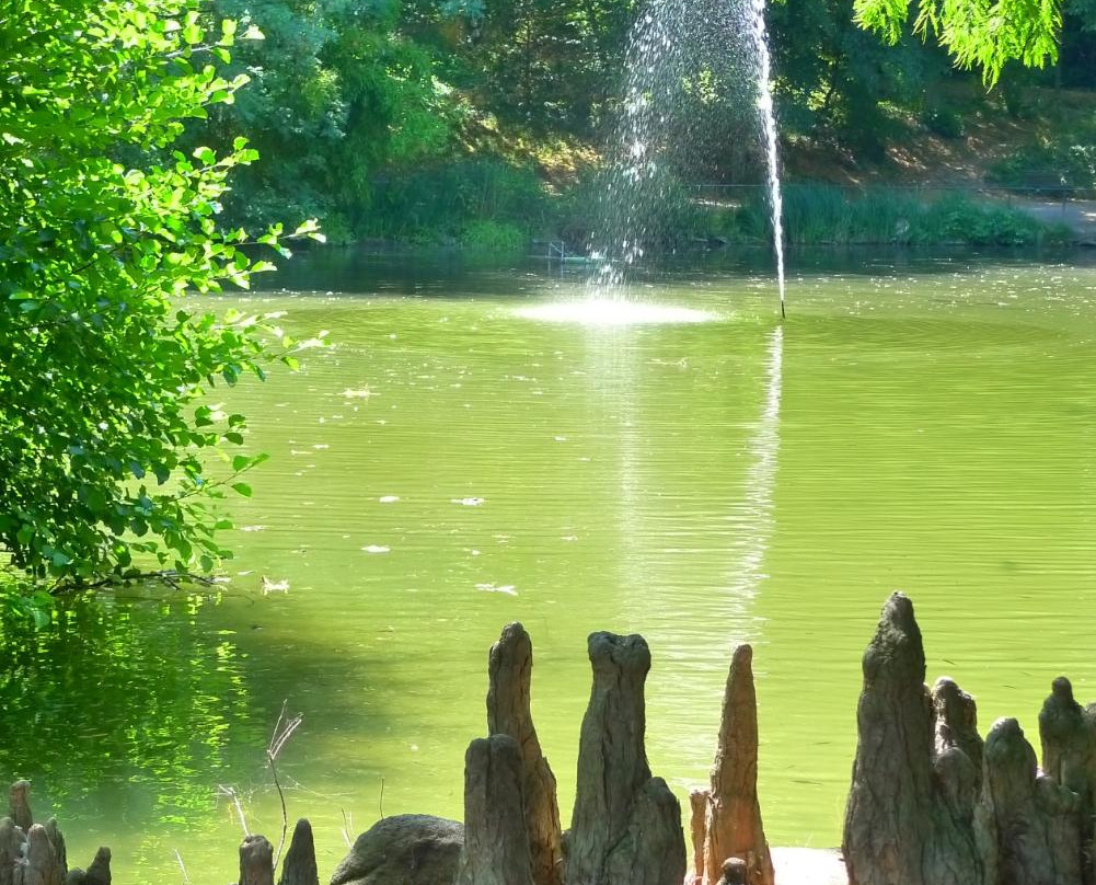 Schlosspark景点图片