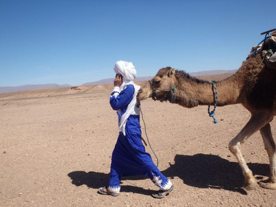 Camel Trek Morocco-迈哈米德必去景点