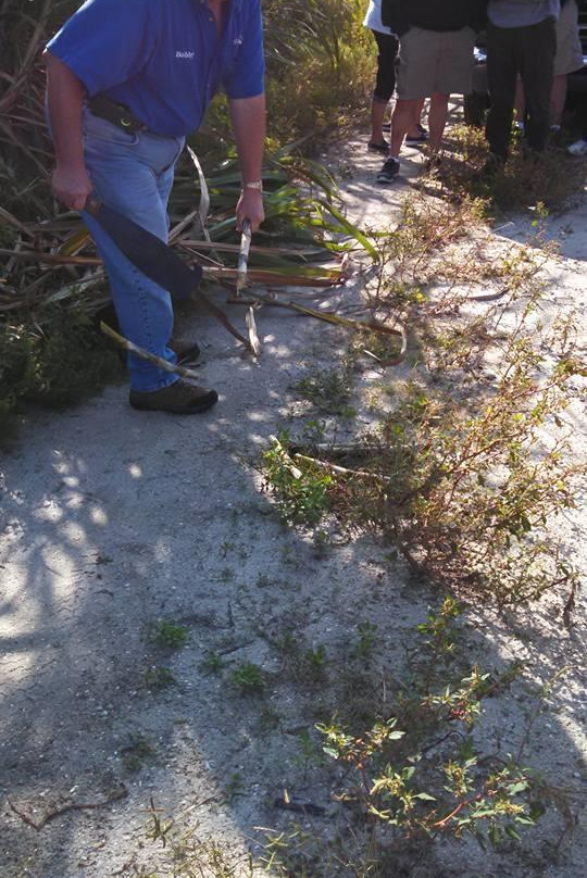 Sugarland Tours-克莱维斯顿必去景点