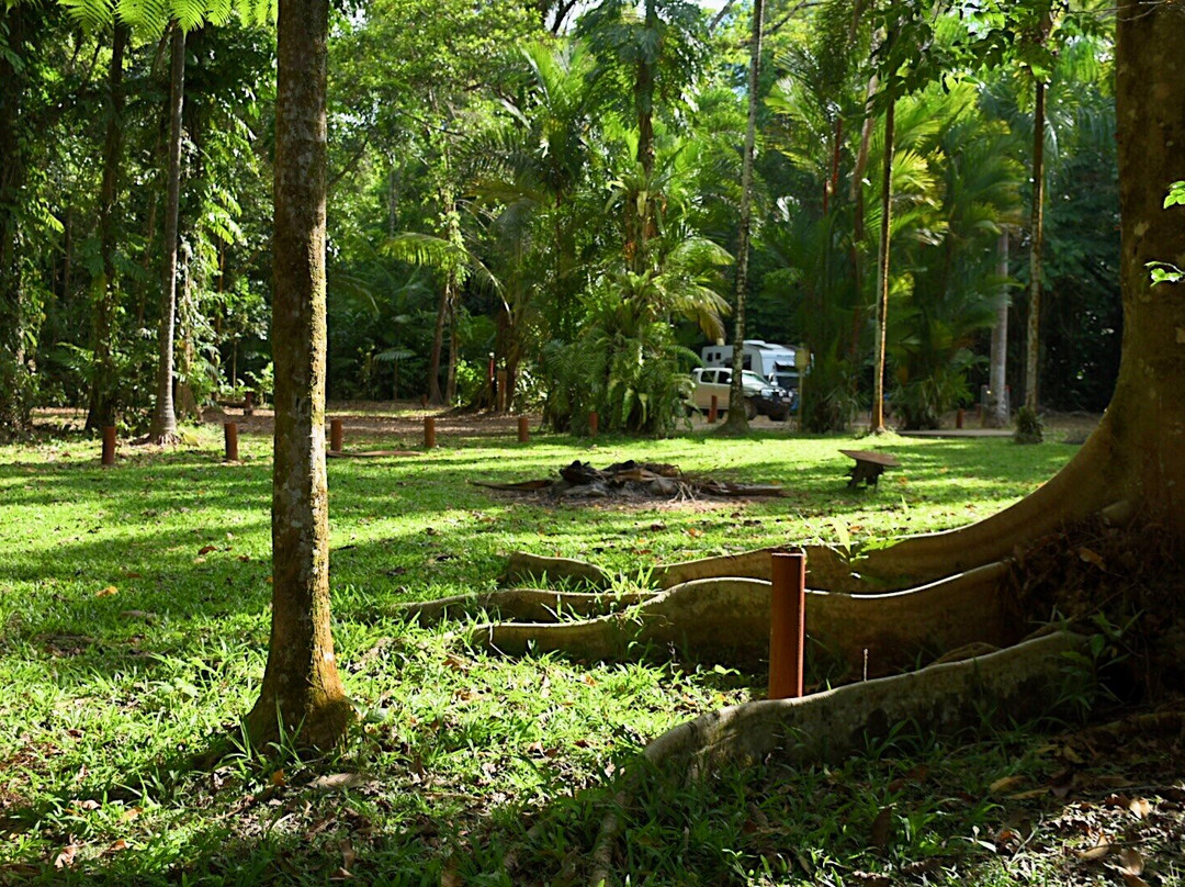 Daintree Siesta主图