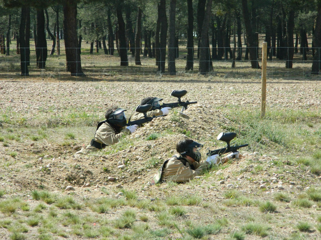 El Arenal Paintball景点图片