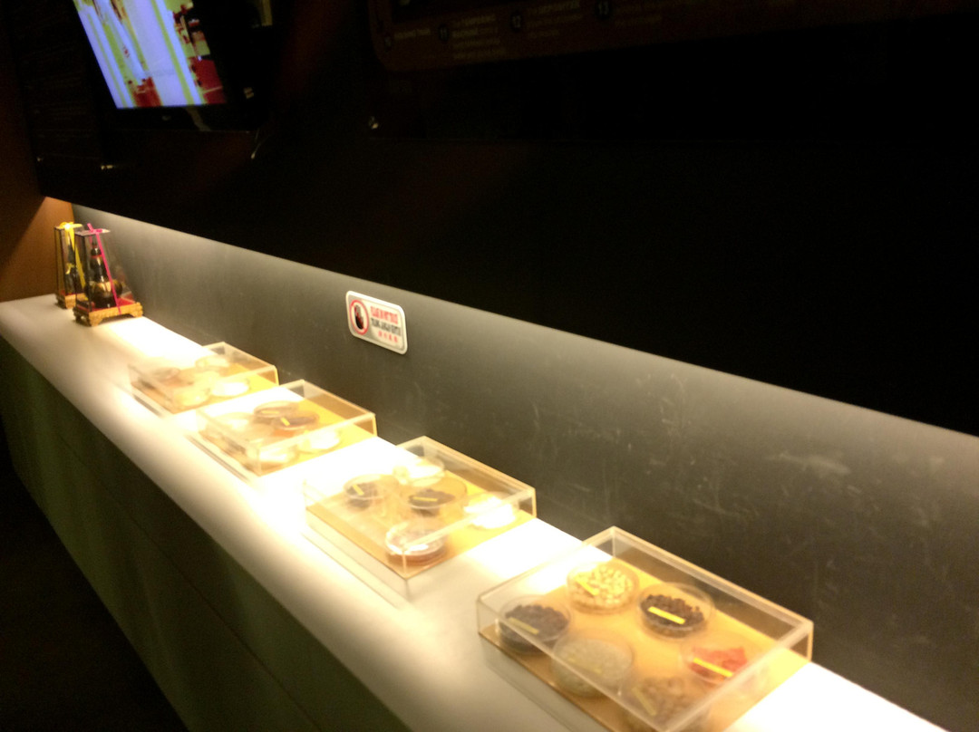 Chocolate Museum景点图片