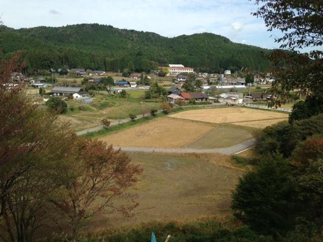 Kameyama Castle Ruin
