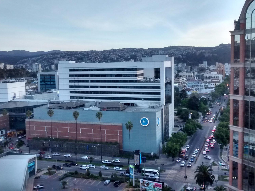 Mall Marina-比尼亚德尔马必去景点