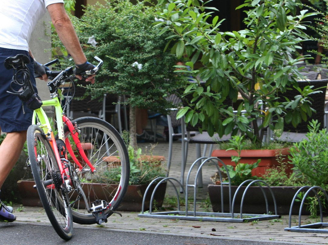 Pension Familienweingut Braun主图
