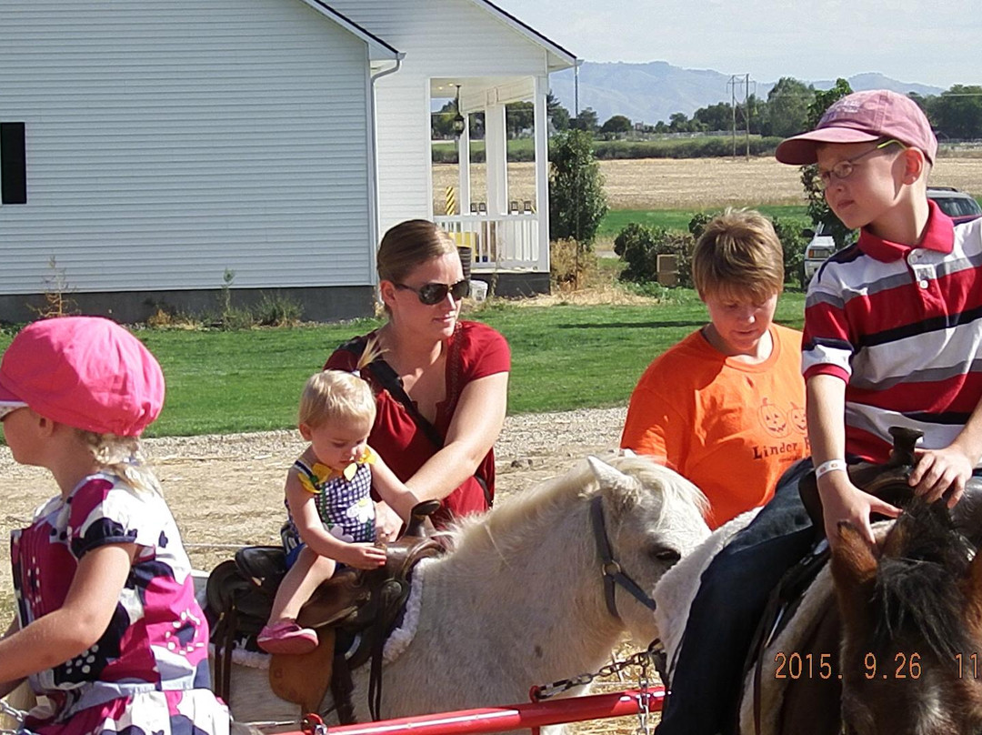 Linder Farms-默里迪恩必去景点
