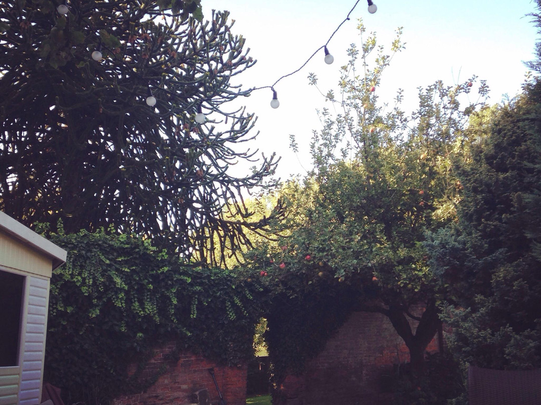 The Homestead Retreat-德比必去景点