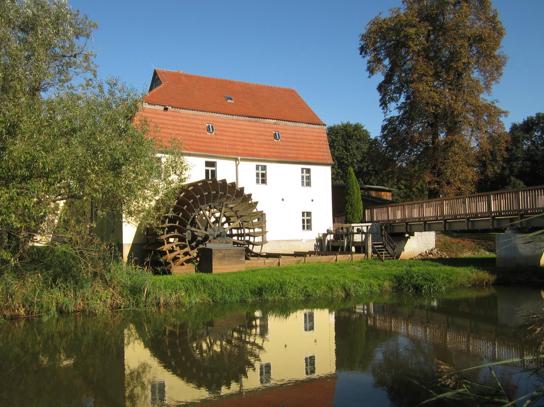Naturpark Niederlausitzer Heidelandschaft景点图片