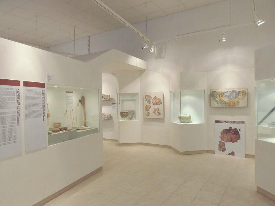 Museo Civico Antonio Cerutti景点图片